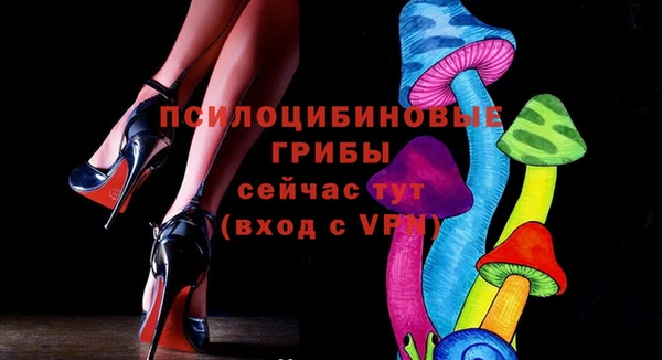 PSILOCYBIN Алексин