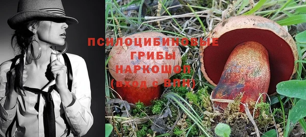 jwh Алзамай
