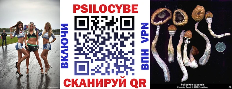 Псилоцибиновые грибы Psilocybine cubensis  хочу наркоту  Грайворон 